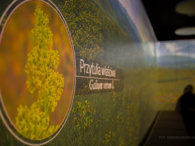 2-й день народження Етноцентру, день 3 – 12 грудня 2021 р.-IMG_0129_m.jpg