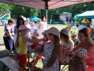 Piknik w Rymanowie-Zdroju 26.06.2022-27.jpg