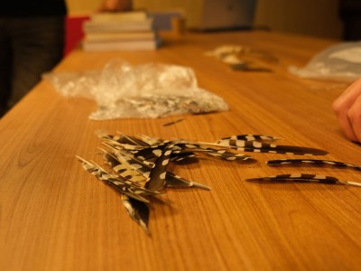 Майстер-класи спостереження птахів – червень – липень 2022-20.jpg