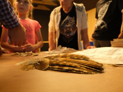 Майстер-класи спостереження птахів – червень – липень 2022-23.jpg