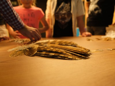 Майстер-класи спостереження птахів – червень – липень 2022-24.jpg