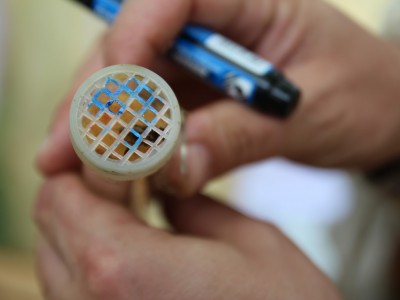 Včelárske workshopy 7-11.07.2021-warsztaty_pszczelarskie_2021_059.JPG