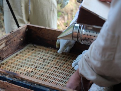 Včelárske workshopy 7-11.07.2021-warsztaty_pszczelarskie_2021_099.JPG