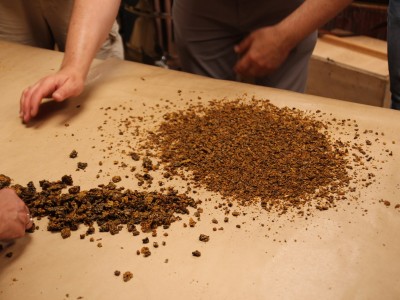 Včelárske workshopy 7-11.07.2021-warsztaty_pszczelarskie_2021_137.JPG