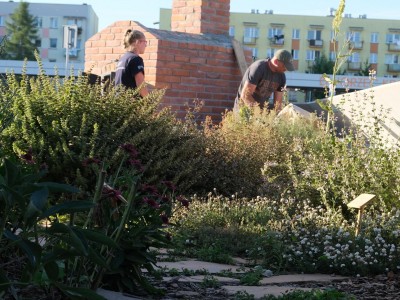 - Stove fitter workshops 4-8.08.2021-warsztaty-zdunskie-054.JPG