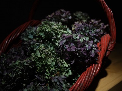 Vernisáž výstavy "Malarstwo Ikonowe" 04.11.2022-021.jpg