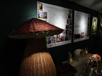 Vernissage of the exhibition of the Association of the Folk University of Artistic Crafts 06.10.2023-008.jpg