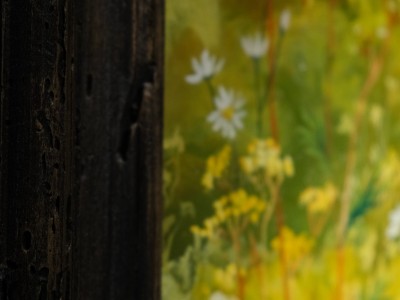 Vernisáž výstavy „W traw szeptaniu” - 06.09.2024-s_013.jpg