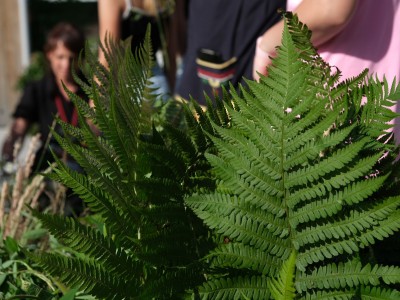 Midsummer Night 25.06.2022-30.jpg