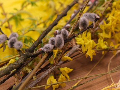 Wielkanoc z Etnocentrum 2024-wielkanoc-z-etnocentrum-2024-009.jpg