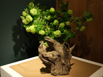 Фотовиставка «WSPÓŁISTNIENIE» Магдалени Кільбан - 13 травня 2022 р.-wystawa-fotograficzna-13.05.2022-24.jpg