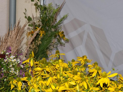 Трав'яні куточки - «Букети з трав» - 5 серпня 2021 р.-bukiety-na-zielna-023.JPG