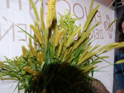 Трав'яні куточки - «Букети з трав» - 5 серпня 2021 р.-bukiety-na-zielna-030.JPG